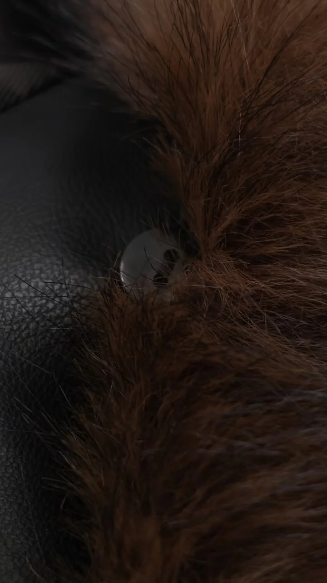 Elyra – Faux-Leather Wintermantel mit Pelzkragen